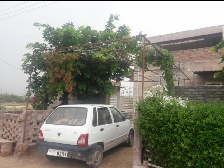 Desert Sun Homestay Bikaner Exterior photo